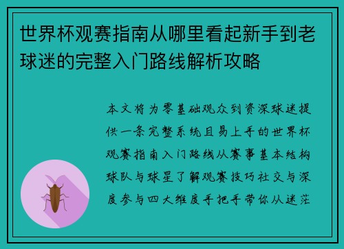 世界杯观赛指南从哪里看起新手到老球迷的完整入门路线解析攻略